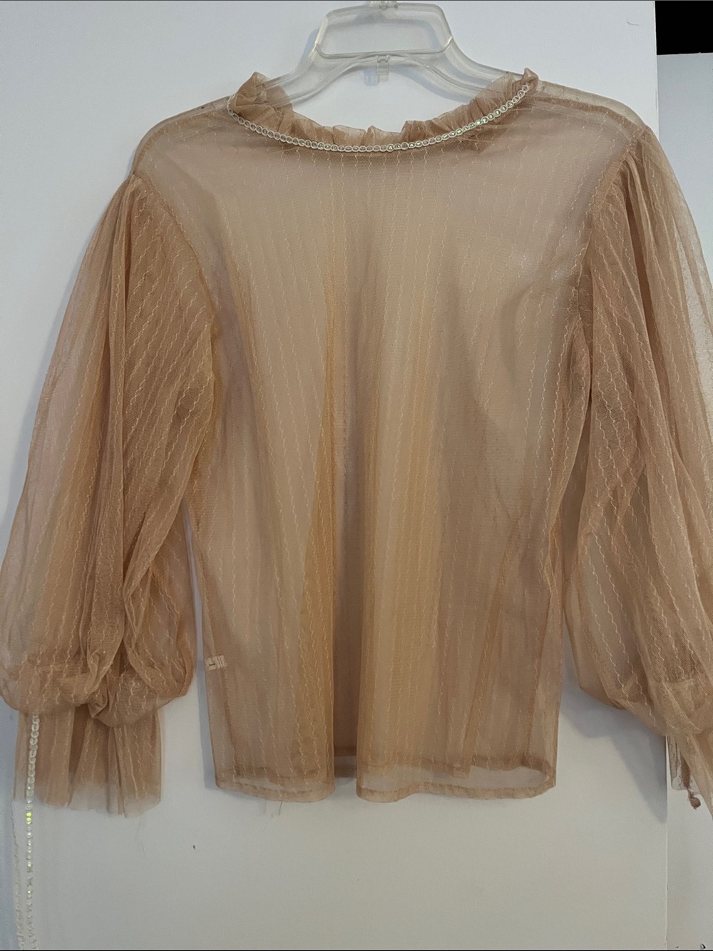 Sheer Puff-Sleeve Women’s Top in Dusty Pink